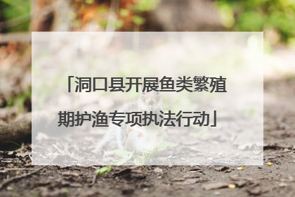 洞口县开展鱼类繁殖期护渔专项执法行动