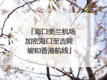 海口美兰机场加密海口至吉隆坡和香港航线