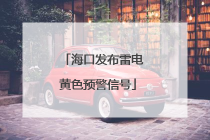 海口发布雷电黄色预警信号