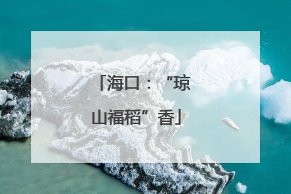 海口：“琼山福稻”香