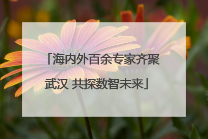 海内外百余专家齐聚武汉 共探数智未来