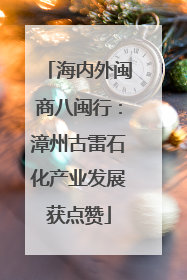 海内外闽商八闽行：漳州古雷石化产业发展获点赞