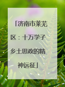济南市莱芜区：十万学子乡土思政的精神远征