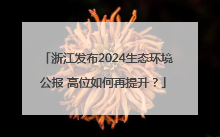 浙江发布2024生态环境公报 高位如何再提升？