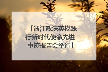 浙江政法英模践行新时代使命先进事迹报告会举行