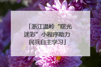 浙江温岭“曙光迷彩”小程序助力民兵自主学习