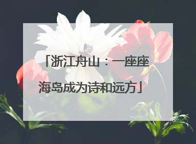 浙江舟山：一座座海岛成为诗和远方