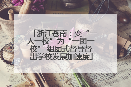 浙江苍南：变“一人一校”为“一团一校” 组团式督导督出学校发展加速度
