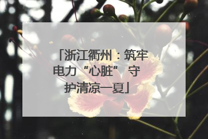 浙江衢州：筑牢电力“心脏” 守护清凉一夏