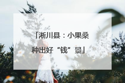 淅川县：小果桑种出好“钱”景