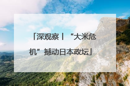 深观察丨“大米危机”撼动日本政坛
