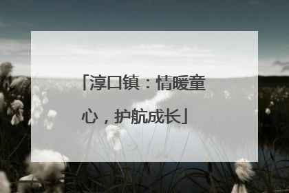 淳口镇：情暖童心，护航成长