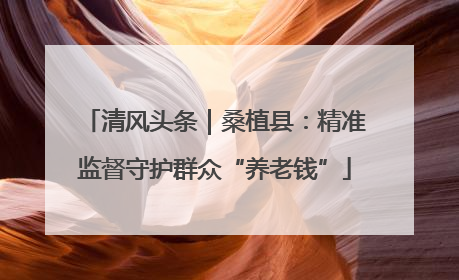 清风头条｜桑植县：精准监督守护群众“养老钱”