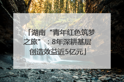 湖南“青年红色筑梦之旅”：8年深耕基层创造效益近5亿元