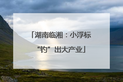 湖南临湘：小浮标“钓”出大产业
