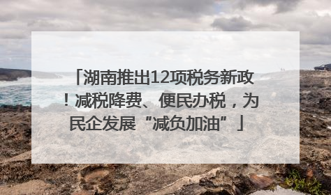 湖南推出12项税务新政！减税降费、便民办税，为民企发展“减负加油”