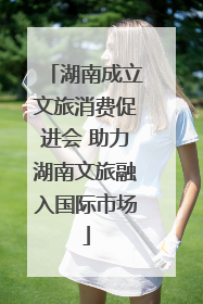 湖南成立文旅消费促进会 助力湖南文旅融入国际市场