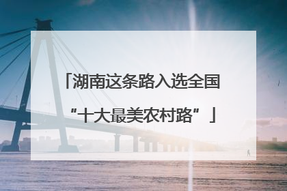 湖南这条路入选全国“十大最美农村路”