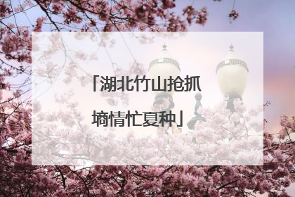 湖北竹山抢抓墒情忙夏种