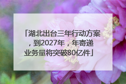 湖北出台三年行动方案，到2027年，年寄递业务量将突破80亿件