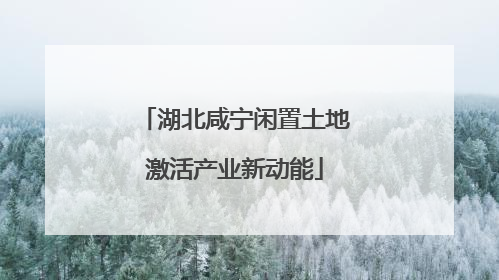 湖北咸宁闲置土地激活产业新动能