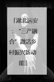 湖北远安：“三产融合”激活乡村振兴新动能