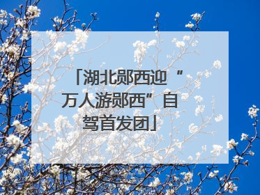 湖北郧西迎“万人游郧西”自驾首发团