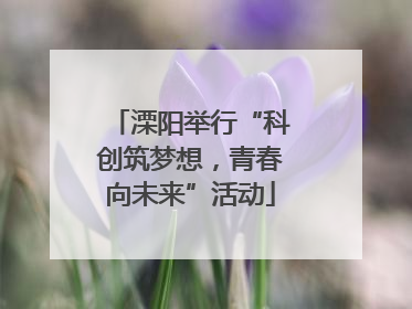 溧阳举行“科创筑梦想，青春向未来”活动