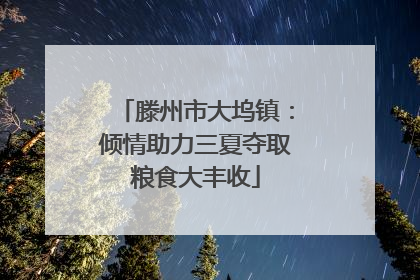 滕州市大坞镇：倾情助力三夏夺取粮食大丰收