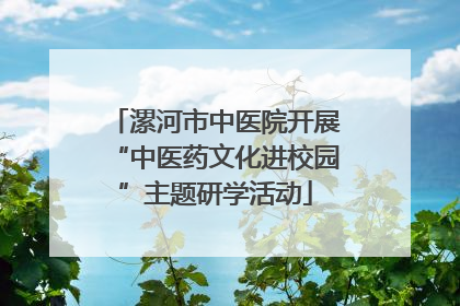 漯河市中医院开展“中医药文化进校园”主题研学活动