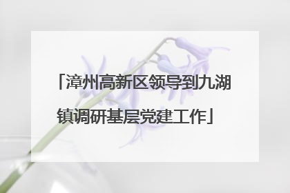漳州高新区领导到九湖镇调研基层党建工作