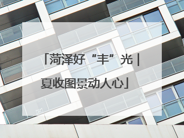 菏泽好“丰”光｜夏收图景动人心