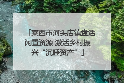 莱西市河头店镇盘活闲置资源 激活乡村振兴“沉睡资产”