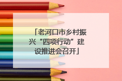 老河口市乡村振兴“四项行动”建设推进会召开