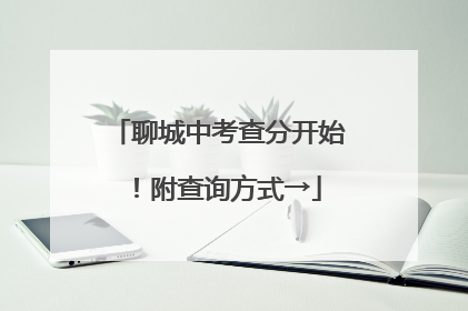 聊城中考查分开始！附查询方式→