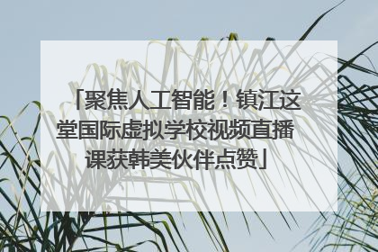 聚焦人工智能！镇江这堂国际虚拟学校视频直播课获韩美伙伴点赞