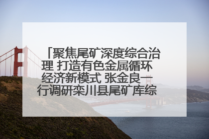 聚焦尾矿深度综合治理 打造有色金属循环经济新模式 张金良一行调研栾川县尾矿库综合治理工作