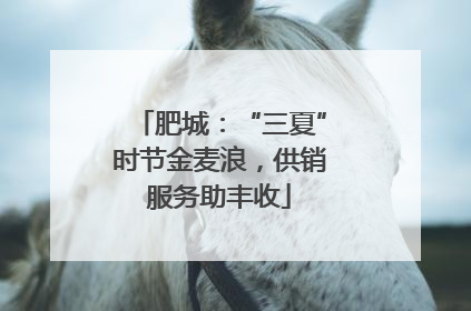 肥城：“三夏”时节金麦浪，供销服务助丰收