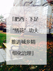 肥西：下足“绣花”功夫 推进城乡精细化治理