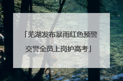 芜湖发布暴雨红色预警 交警全员上岗护高考