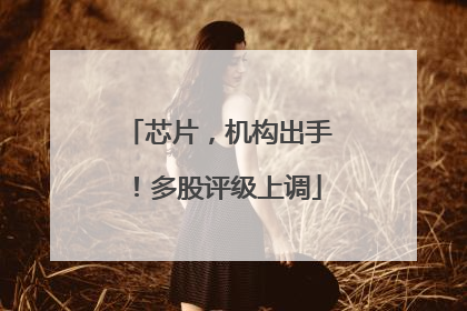 芯片，机构出手！多股评级上调