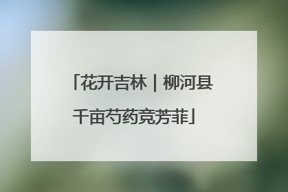 花开吉林｜柳河县千亩芍药竞芳菲