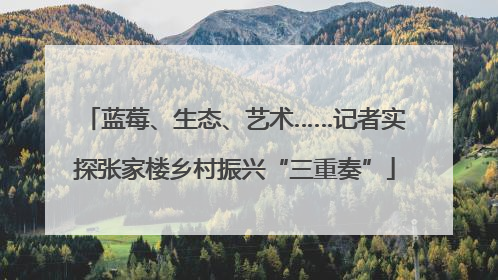 蓝莓、生态、艺术……记者实探张家楼乡村振兴“三重奏”