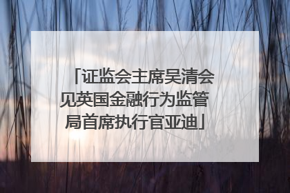 证监会主席吴清会见英国金融行为监管局首席执行官亚迪