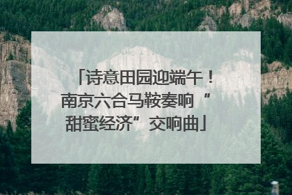 诗意田园迎端午！南京六合马鞍奏响“甜蜜经济”交响曲