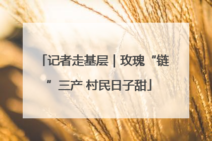 记者走基层｜玫瑰“链”三产 村民日子甜