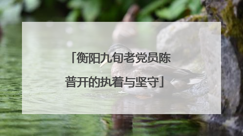 衡阳九旬老党员陈普开的执着与坚守