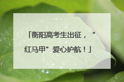 衡阳高考生出征，“红马甲”爱心护航！