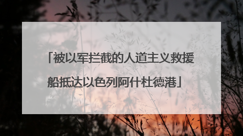 被以军拦截的人道主义救援船抵达以色列阿什杜德港