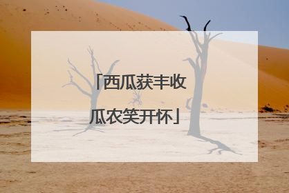 西瓜获丰收 瓜农笑开怀